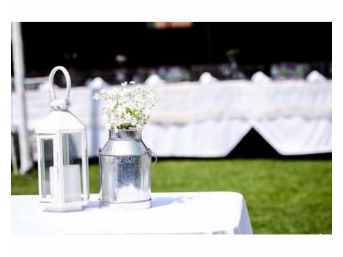 Expertos en decoración