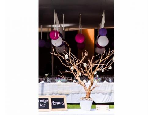 Árbol de los deseos