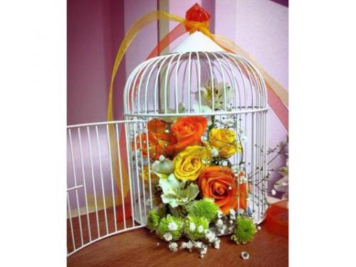Flores en jaula
