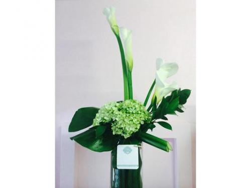 Arreglo de alcatraces