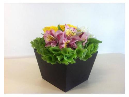 Variedad en tamaños