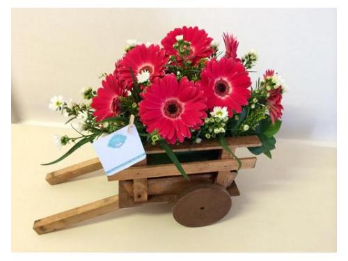 Flores en carreta