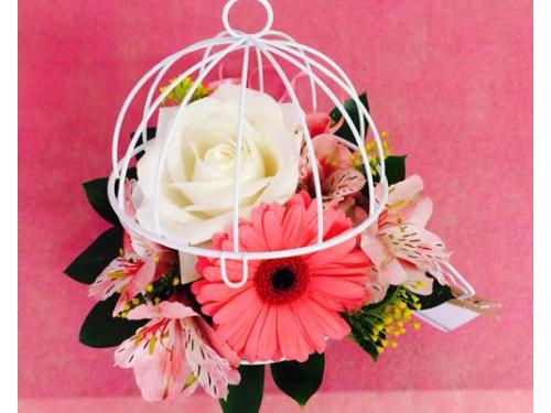 Diseños a tu agrado