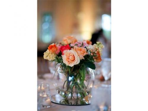 Flores de alta calidad