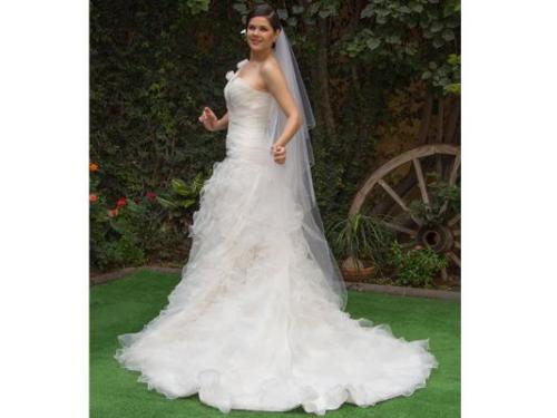 Crearan un diseño especial para ti