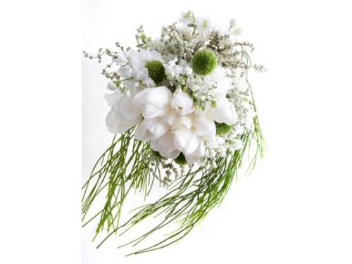 Clásicos con tulipanes