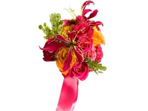 Coloridos y redondos