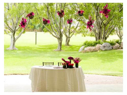 Mesa de novios, esferas colgantes en árboles