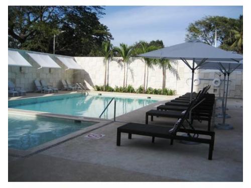 Camastros junto a la alberca