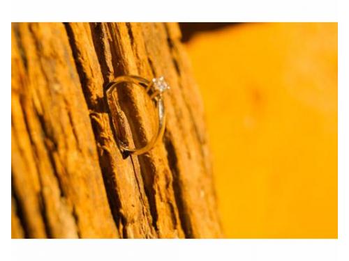 Fotografía de la argolla