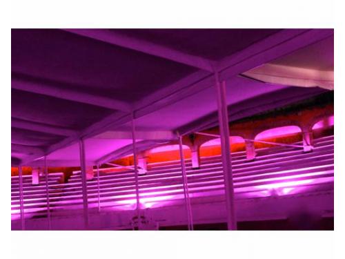 Carpa para proteger a tus invitados