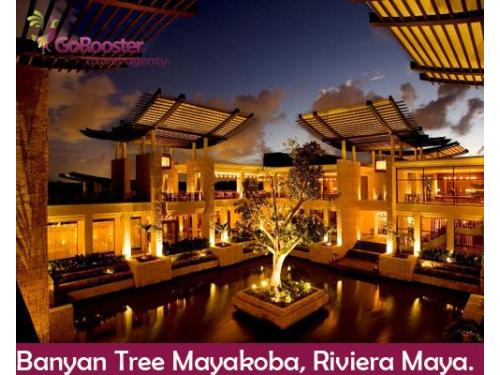 Banyan tree mayakoba