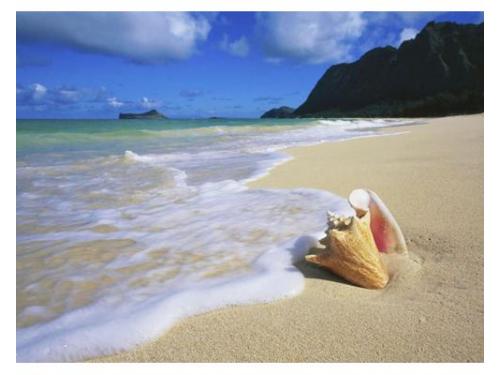 Tu luna de miel en playa