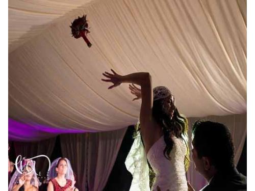 Diversión en todo momento