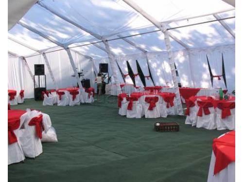 Diversidad en los modelos de carpas