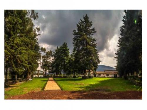 Hacienda san isidro son tu mejor opción