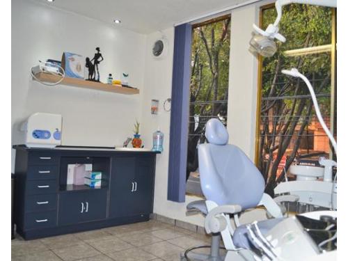 Cuida tu salud bucal