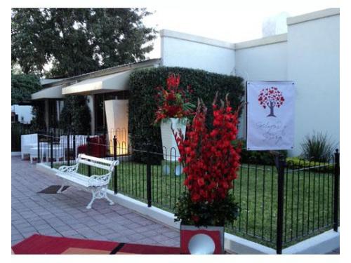 Decoración fuera del salón