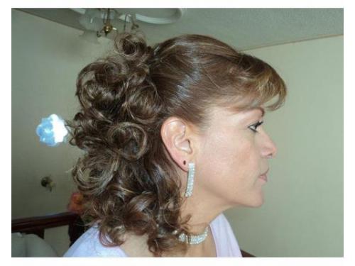 Peinados para el día de tu boda