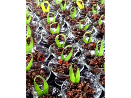 Increíbles mesas para tu boda