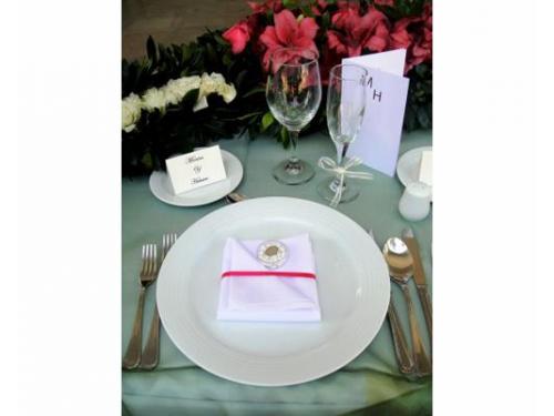 Excelente presentación en mesas