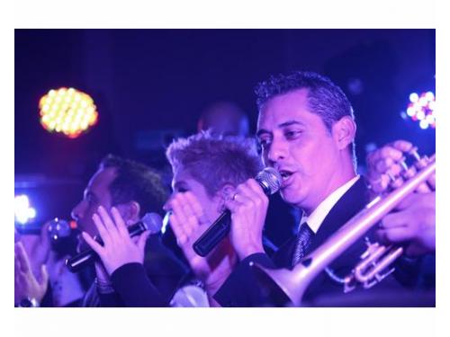 Músicos profesionales