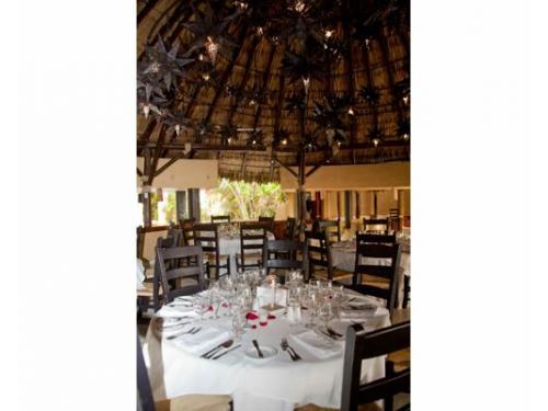 Disfruta del mejor servicio