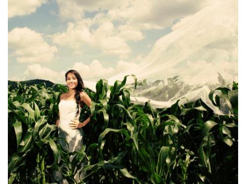 Novia entre maíz