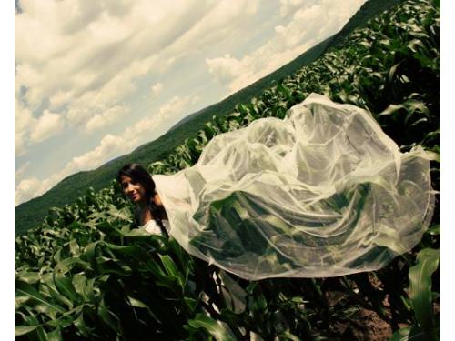 Novia entre naturaleza