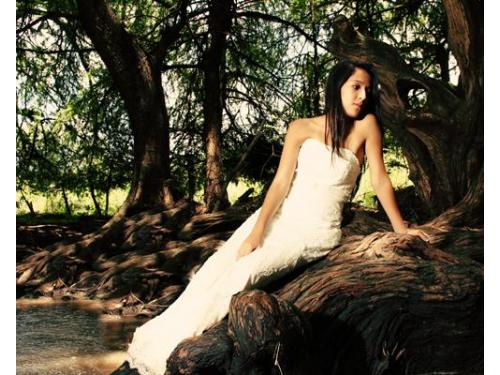 Novia sobre corteza de árbol