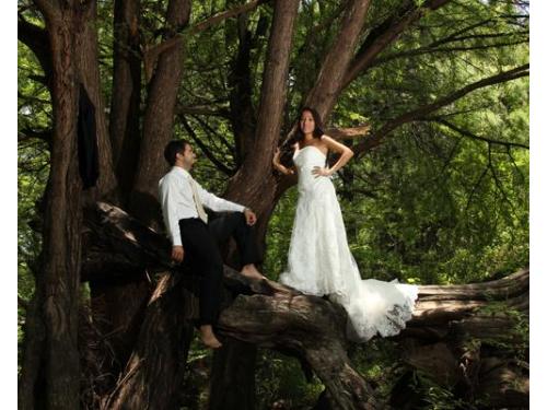 Novios sobre árbol