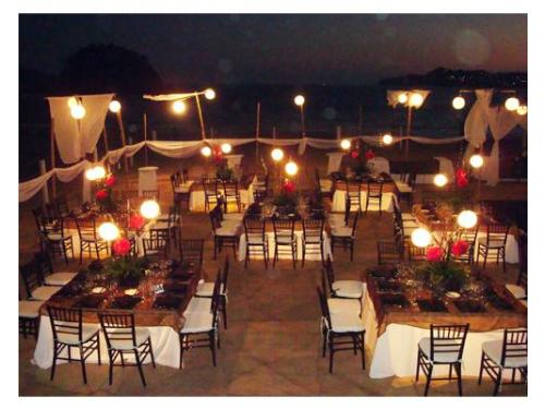 Topiario con 2 lamparas y 2 rosetas