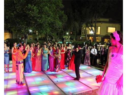 Animadores profesionales