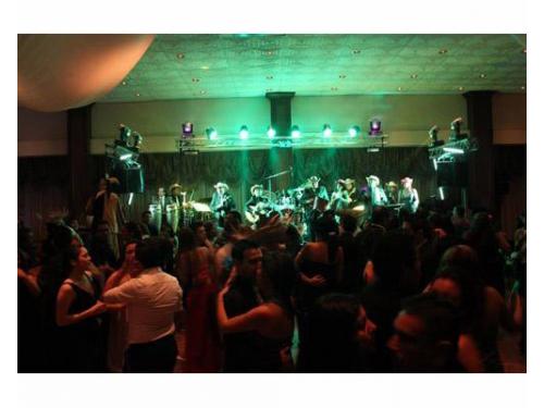 Músicos profesionales