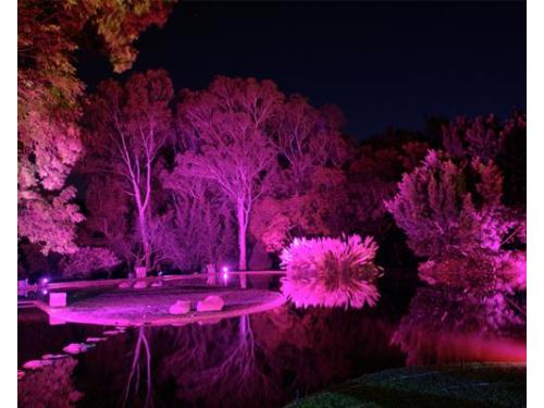 Una hermosa iluminación de colores