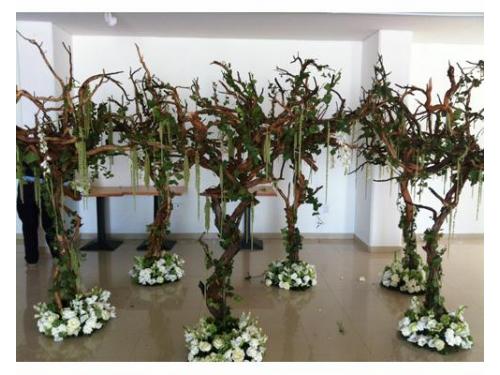 Recepción con decoración exclusiva