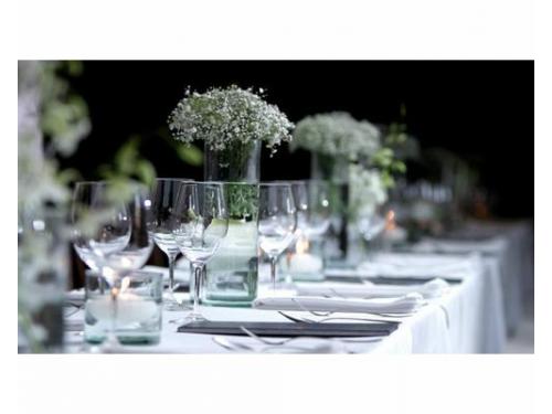 Resaltan cada detalle