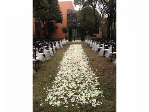 Camino al altar con pétalos