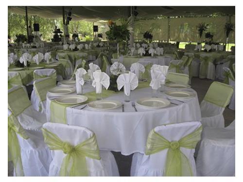 Montaje en verde para un ambiente mas fresco