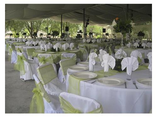 Montaje en color verde para resaltar el escenario natural