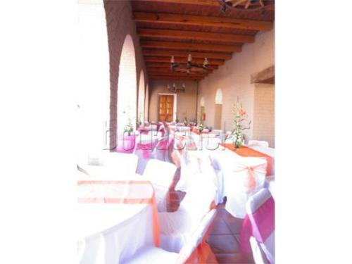 Mantelería para tu banquete