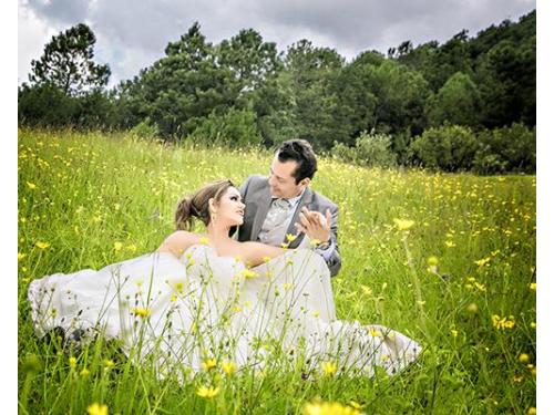 Alta calidad fotográfica