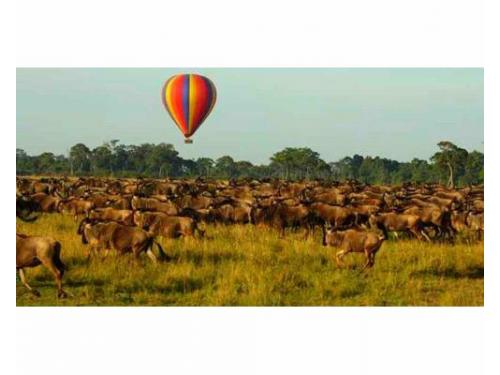 Paseo en globo aerostático