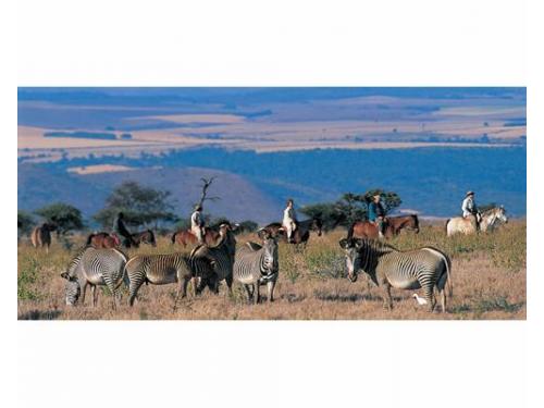 Disfruta de la naturaleza