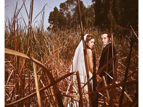 Experiencia en fotografía