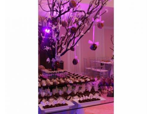 Excelente presentación