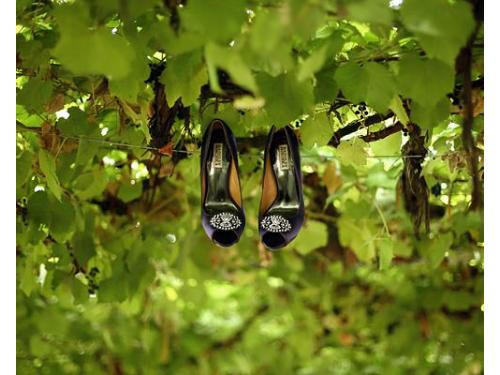 Captura de cada detalle