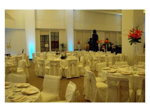 La experiencia que tu boda requiere para cumplir tu sueño