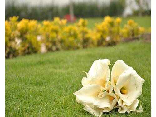 Las flores de tu boda