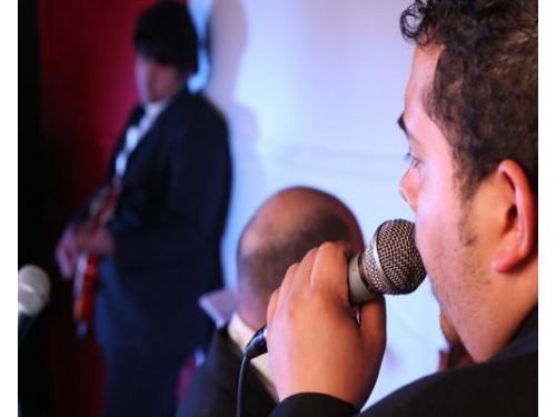 Músicos profesionales